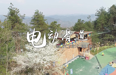 電動(dòng)滑道-浙江鵬鳴游樂(lè)設(shè)備有限公司