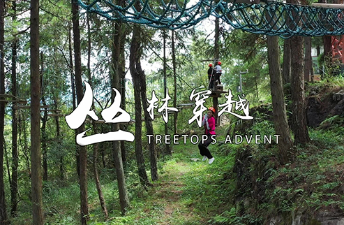 叢林穿越-浙江鵬鳴游樂(lè)設(shè)備有限公司