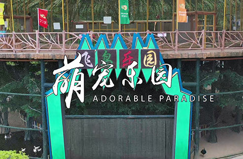 萌寵樂(lè)園-浙江鵬鳴游樂(lè)設(shè)備有限公司
